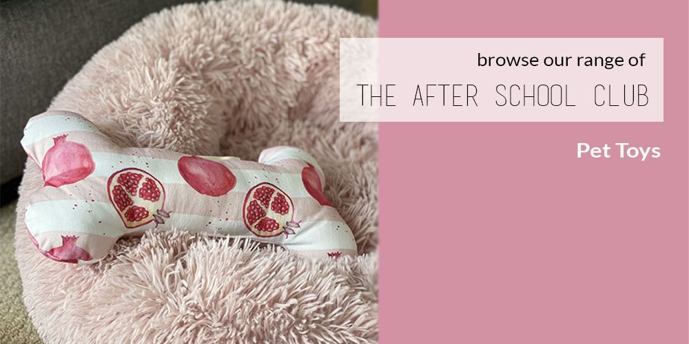 The After School Club About Us and our Pet Toys