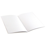 Fig Notebook